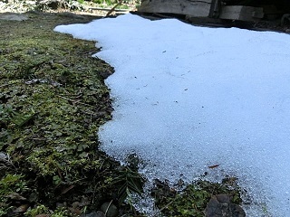 e0234924_11250518.jpg