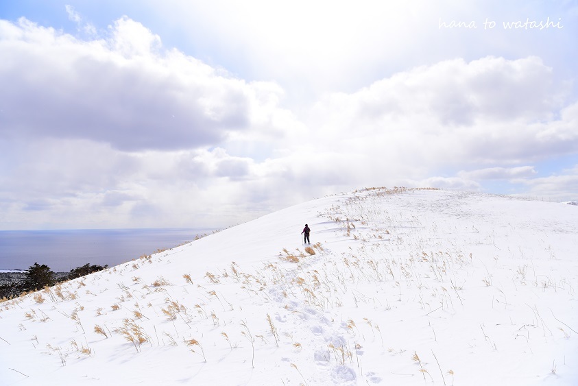 スノーシューハイク桃岩登山口～知床バス停　その４_e0120026_11321422.jpg