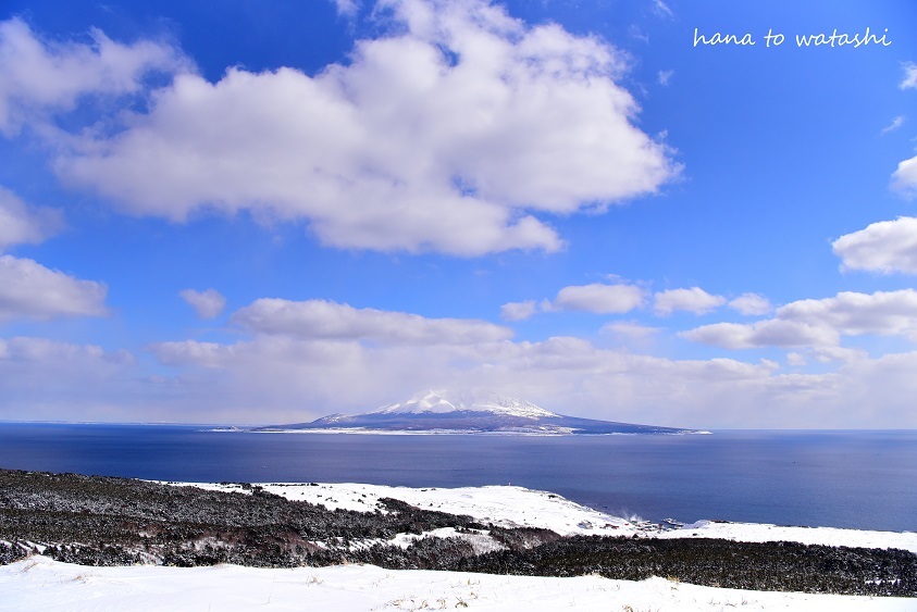 スノーシューハイク桃岩登山口～知床バス停　その４_e0120026_11340013.jpg