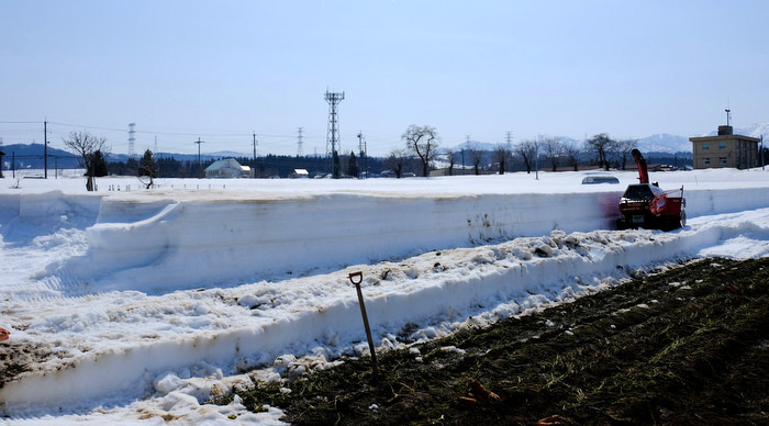 「新潟・津南、十日町  雪下にんじん、そば清兵衛のふのり蕎麦、十日町市博物館の火焔式土器」_a0000029_14405045.jpg