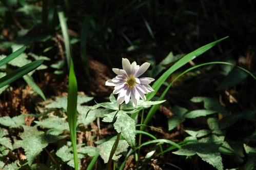 e0272335_95826.jpg