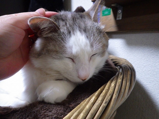 a0337237_11333692.jpg