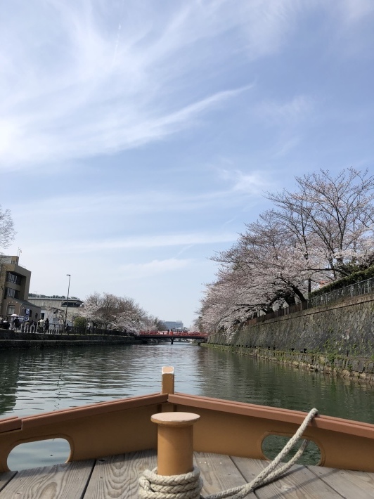 d0282139_11033684.jpeg