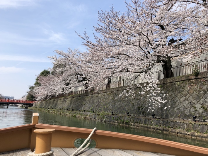 d0282139_11041988.jpeg