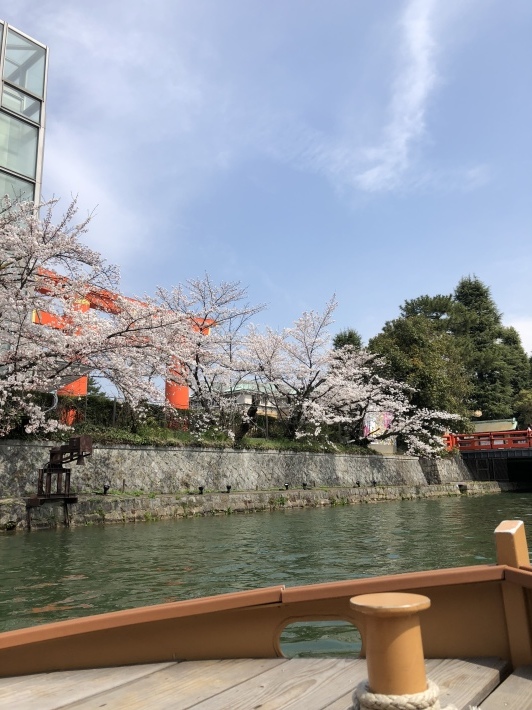 d0282139_11061273.jpeg