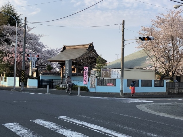 c0146040_17121680.jpeg