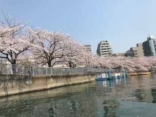 e0067640_21333849.jpg