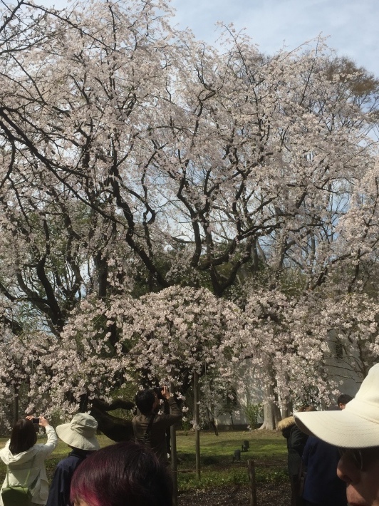 e0196040_09403831.jpeg