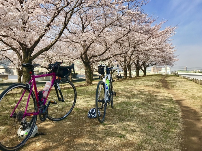 荒川サイクリングロード130キロ金八先生ロケ地ライド : troutbum_toby