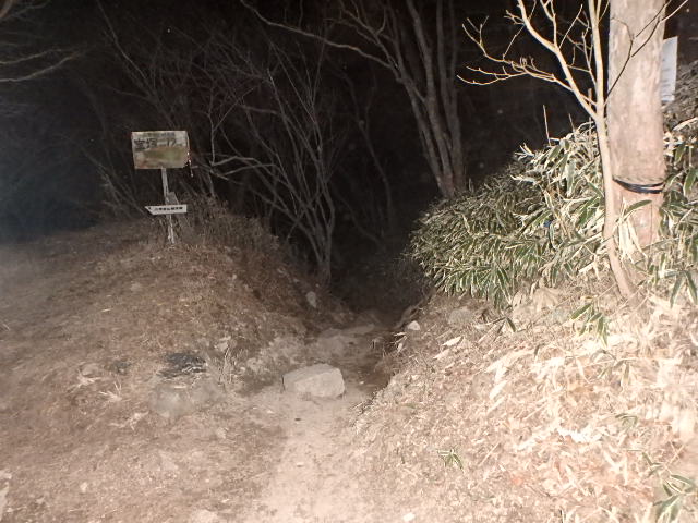 f0334143_7453280.jpg