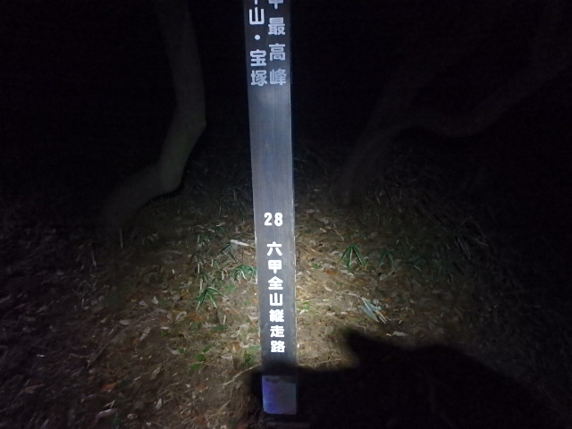 f0334143_7454210.jpg