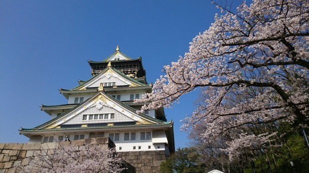 大阪城公園&#127800;桜真っ盛り&#127800;&#127800;&#127800;_f0034444_21370790.jpg