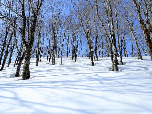 c0081645_22224146.jpg