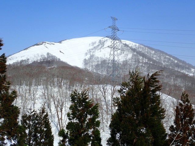 c0081645_22232055.jpg