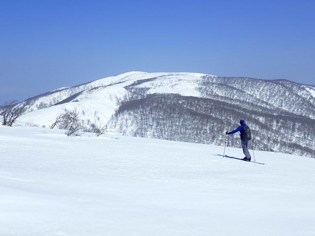 c0081645_22241008.jpg