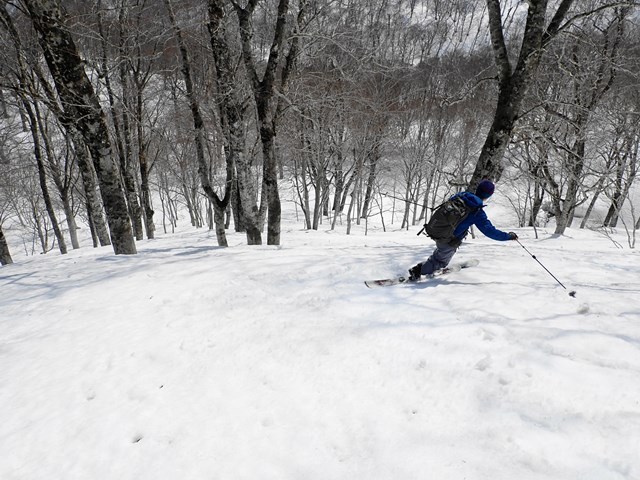 c0081645_22243405.jpg