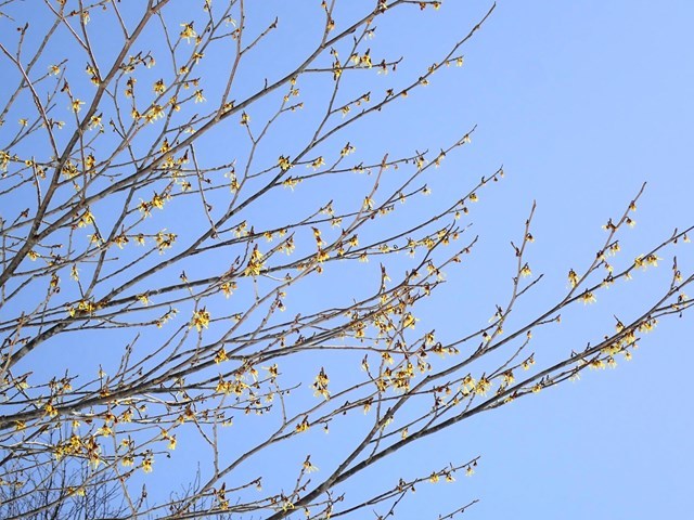 c0081645_22250136.jpg