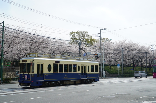 3月27日　飛鳥山_a0133653_22054407.jpg