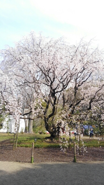 c0178453_16585429.jpg