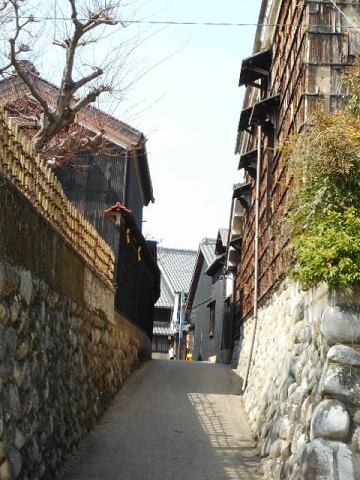大垣警察市民監視事件と春・桜_f0197754_17271523.jpg
