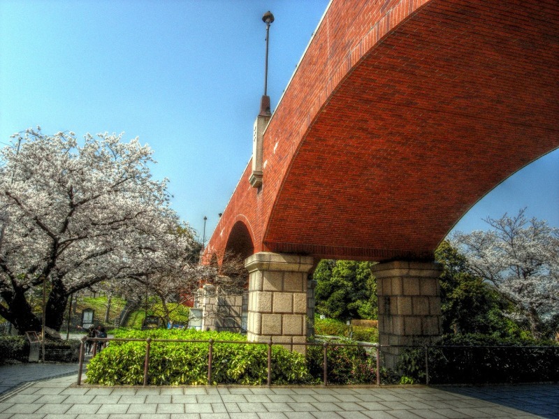 b0083855_22504600.jpg