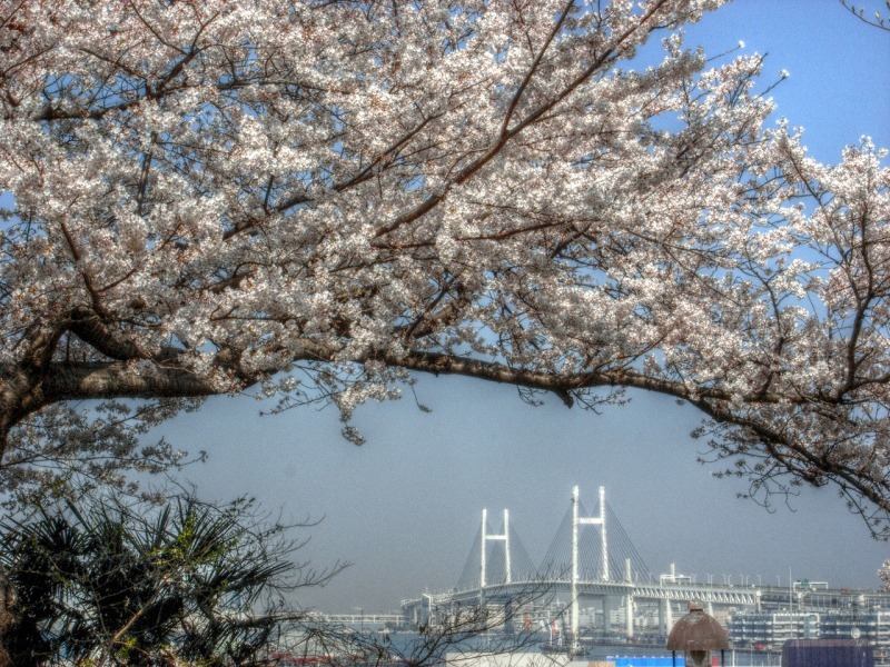b0083855_22511416.jpg