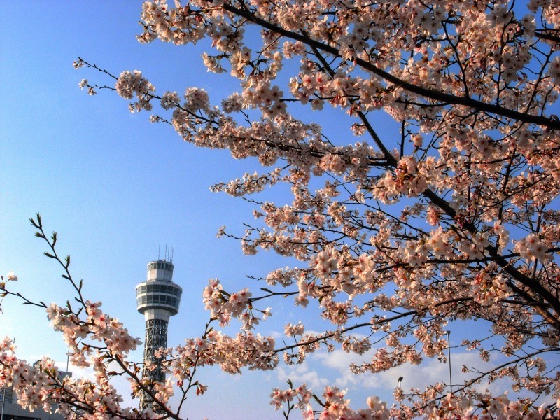 b0083855_22521042.jpg