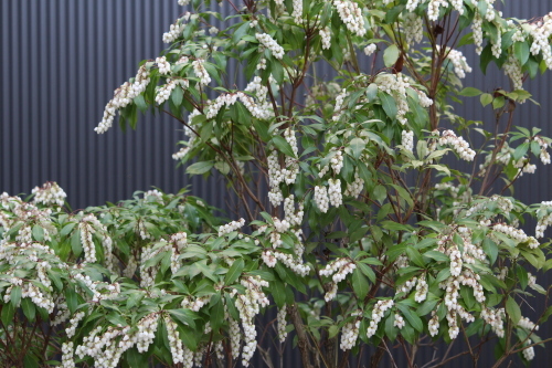 b0246758_14003213.jpg