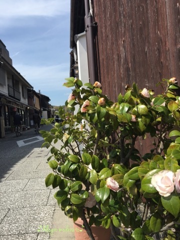 d0240961_18432312.jpeg