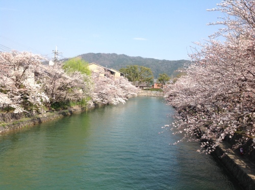 b0153663_16430119.jpeg