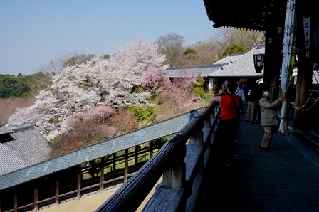 c0303868_15102424.jpg