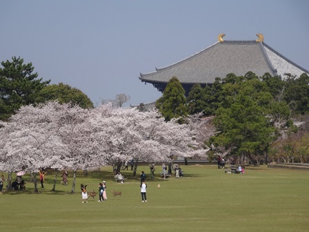 c0303868_15133168.jpg