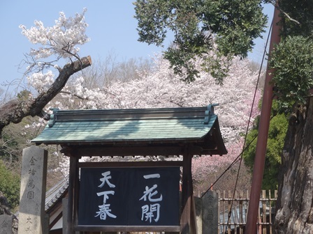 c0303868_15145360.jpg