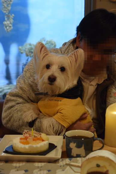 b0242873_01203491.png