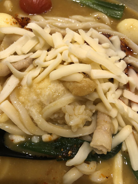 驚愕のB級グルメ!カレーうどんの中にとろろごはんをぶっこんじゃう!豊橋カレーうどんは大失敗?!_e0171573_10252463.jpg