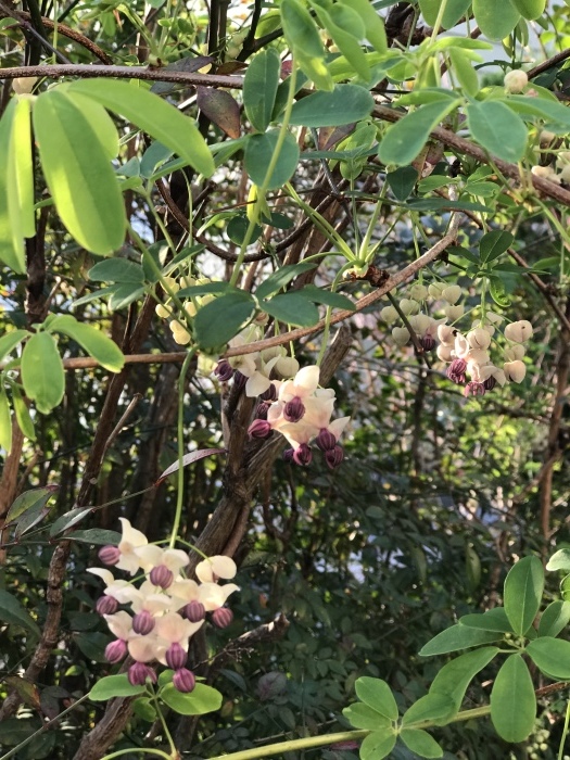 f0359673_17210931.jpeg