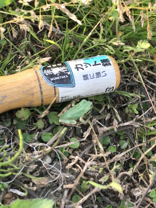 f0359673_17221500.jpeg