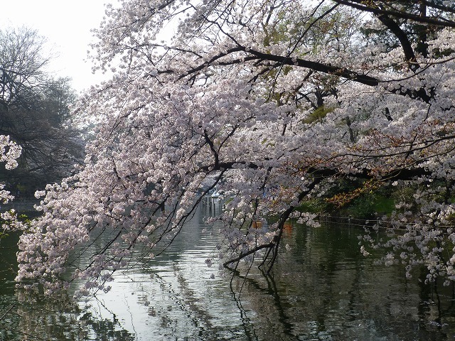 d0351575_21150445.jpg