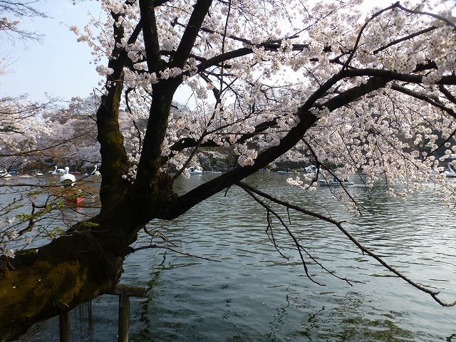 d0351575_21154971.jpg