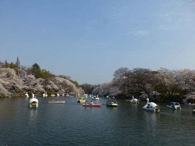 d0351575_21155675.jpg