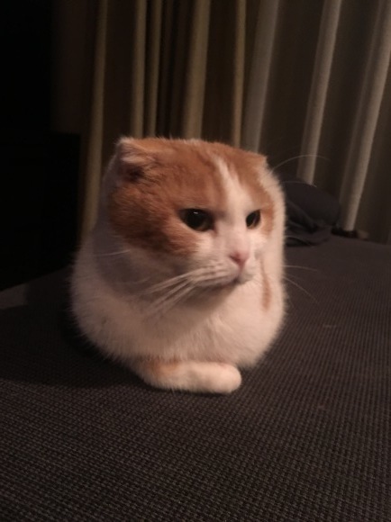 e0234975_23485453.jpeg