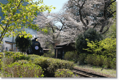 c0054876_13435436.gif