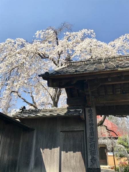 d0125776_09214771.jpeg