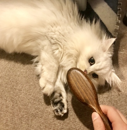 f0105276_21205750.jpeg