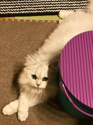 f0105276_21212842.jpeg