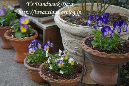 f0330978_12030578.gif