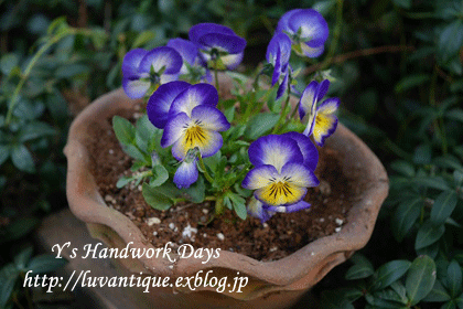 f0330978_12031131.gif