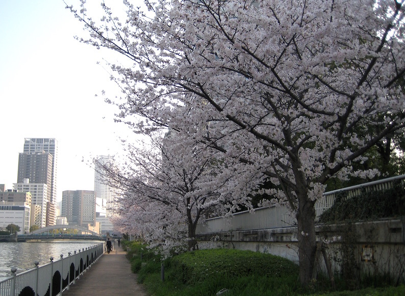 b0057679_09233746.jpg