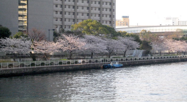 b0057679_09234714.jpg