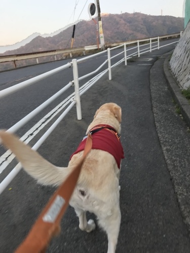 f0315081_17583233.jpeg